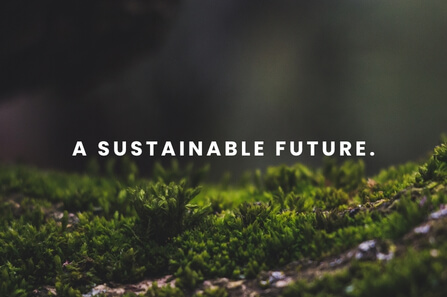 Sustainability
