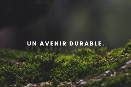 Développement durable